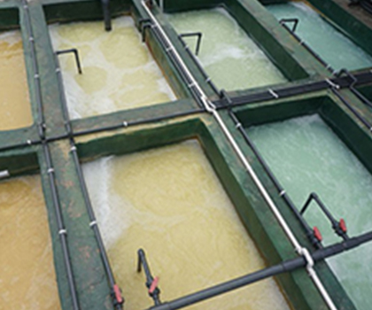 氮磷废水处理工程